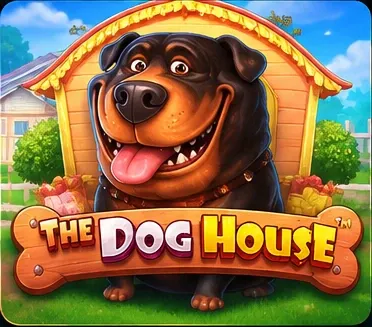 The dog house